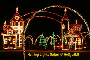 Hollywild Holiday Lights Safari 2017