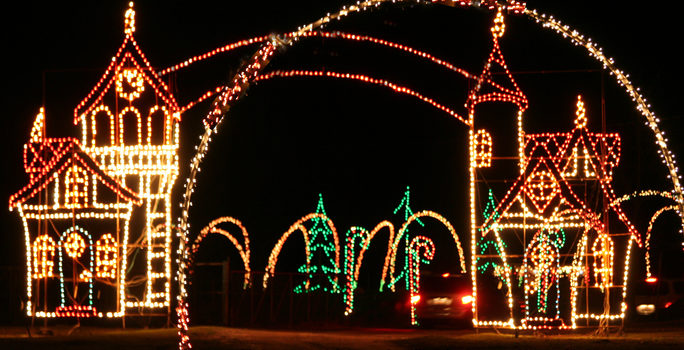 Hollywild Holiday Lights Safari 2017