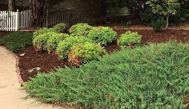 Mulch in Greenville SC